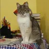 Отзыв от Виктория Киселева
